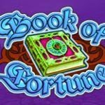 Игровой автомат Book of Fortune